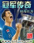 冠军传奇章节列表
