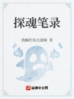 探魂笔录章节列表