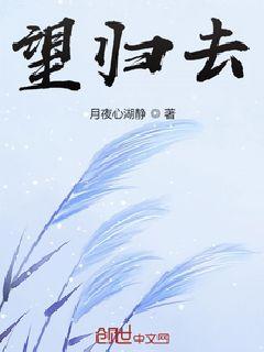 望归去章节列表