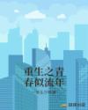 重生之青春似流年章节列表