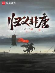 归义非唐章节列表