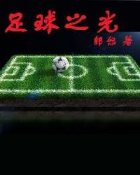 足球之光章节列表