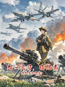 大一实习，你跑去国外当雇佣兵？章节列表