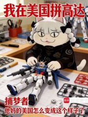 我在美国拼高达章节列表