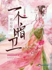 被迫嫁给一个暗卫章节列表