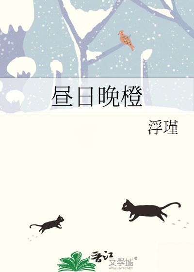 昼日晚橙章节列表