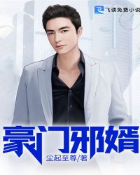 豪门邪婿章节列表