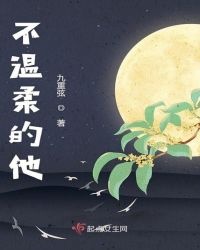 不温柔的他章节列表