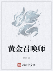 黄金召唤师章节列表