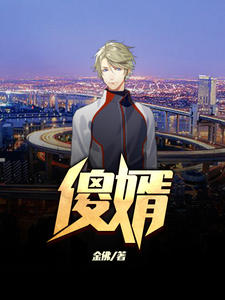 傻婿（陈旭白亦清）章节列表